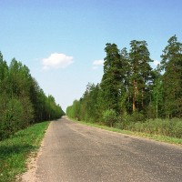 Одобрен проект строительства подъездной дороги к деревне в Новомосковском округе